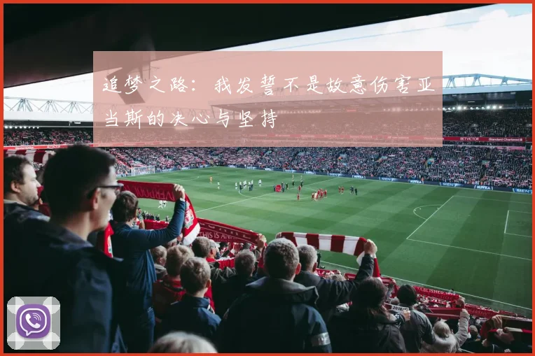 追梦之路：我发誓不是故意伤害亚当斯的决心与坚持