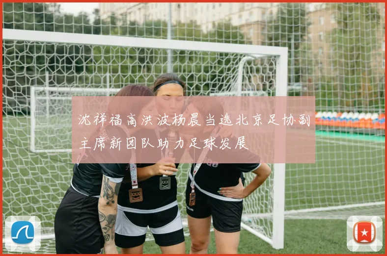 沈祥福高洪波杨晨当选北京足协副主席新团队助力足球发展