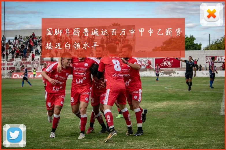 国脚年薪普遍达百万中甲中乙薪资接近白领水平